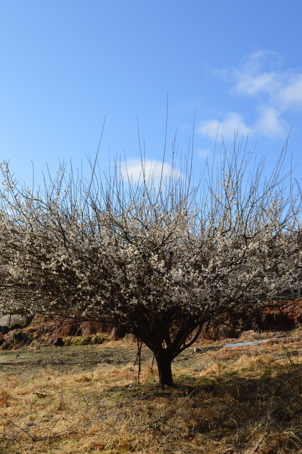 乾徳山登山口バス停 秩父多摩甲斐国立公園 山梨市 山梨市