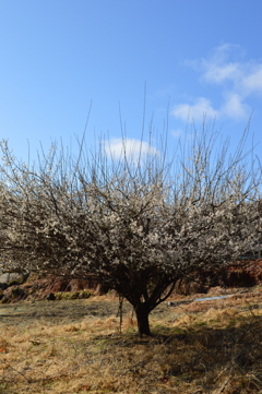 乾徳山登山口バス停 秩父多摩甲斐国立公園 山梨市 山梨市