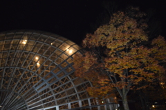 山梨県笛吹川フルーツ公園