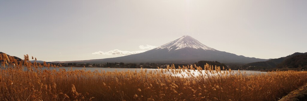 富士山 河口湖 大石公園 山梨県 DSC03696