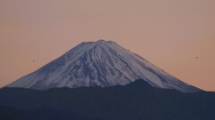 富士山 大沢バス停 山梨市 山梨県 DSC08528
