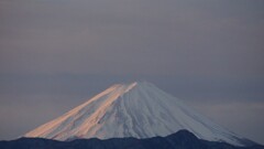 富士山 大沢バス停 山梨市 山梨県 DSC04364