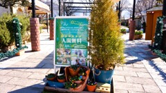 ハーブ庭園 夢日記 勝沼庭園 甲州市 山梨県 DSC08505