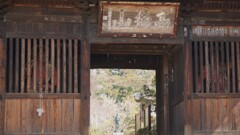 花の寺 放光寺 甲州市 塩山 藤木 山梨県 DSC08124