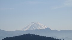 富士山 Pasta かざはな 塩山藤木 甲州市 山梨県 DSC04268