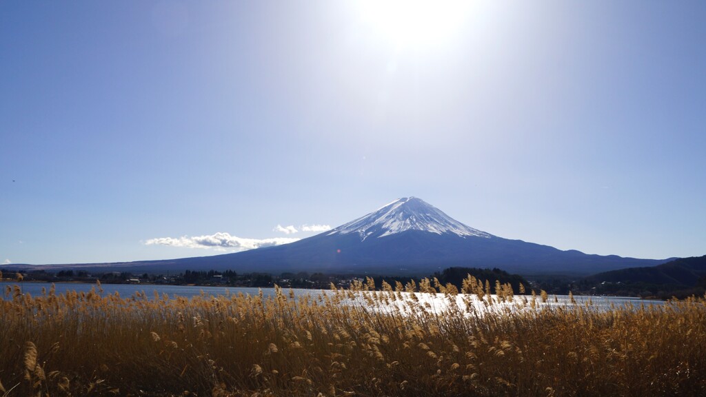 富士山 河口湖 大石公園 山梨県 DSC03706