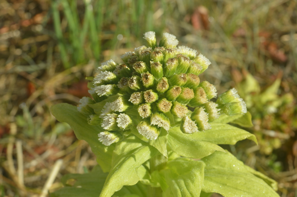 乾徳山登山口バス停 秩父多摩甲斐国立公園 山梨市 山梨市