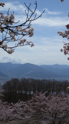 山梨県笛吹川フルーツ公園 山梨市 山梨県