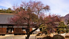 放光寺 塩山藤木 甲州市 山梨県 DSC07741