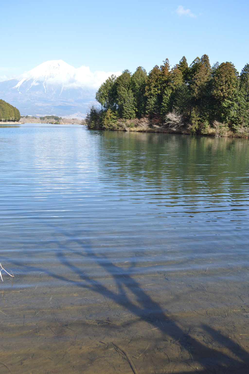 田貫湖 富士宮市 静岡県