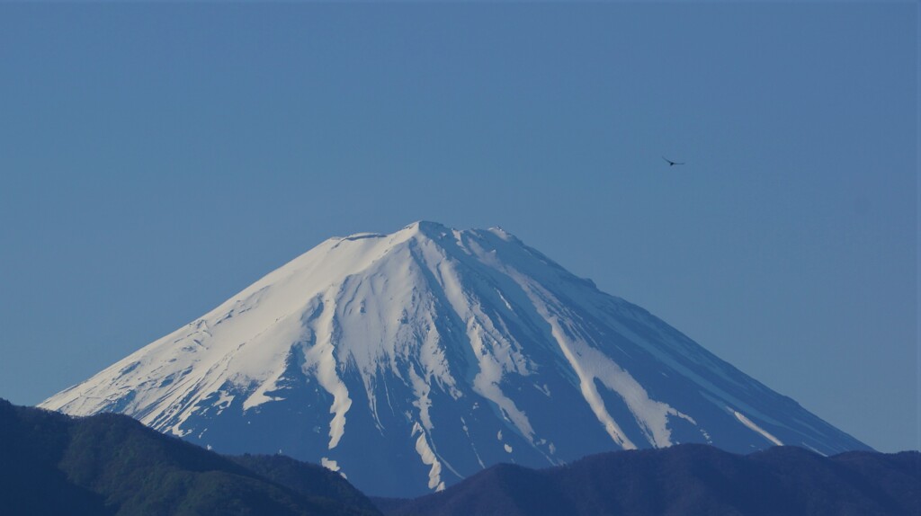 富士山 富士塚 笛吹川フルーツ公園 山梨市 山梨県 DSC00530