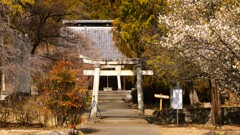 秋葉神社 甲州市 山梨県 DSC07277