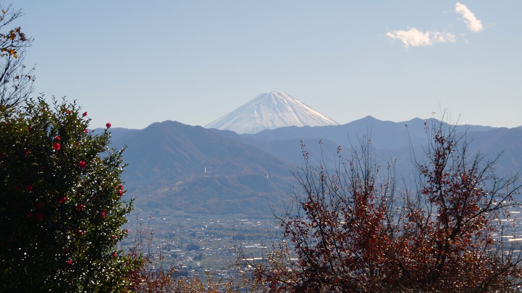 富士山 笛吹川フルーツ公園 山梨市 山梨県 DSC06161