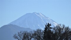 富士山 山梨市 山梨県 DSCF2495