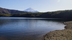 富士山 西湖 山梨県 DSC03724