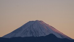 富士山 藤木 甲州市 山梨県 DSC08463