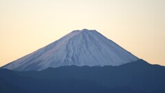 富士山 笛吹川フルーツ公園 山梨市 山梨県 DSC04737