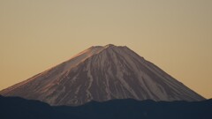 富士山 笛吹川フルーツ公園 山梨市 山梨県 DSC05230
