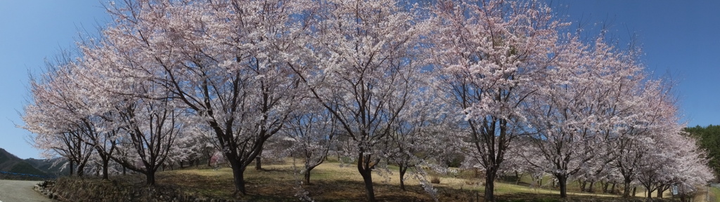 オーチャードヴィレッジ・フフ 秩父多摩甲斐国立公園 山梨市 山梨県