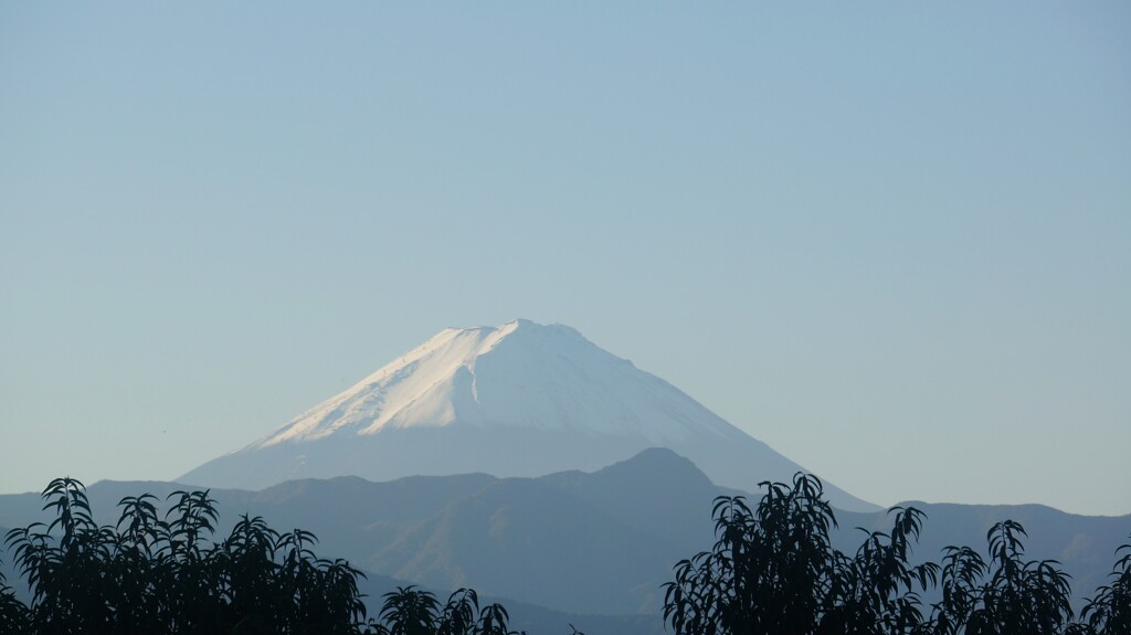 富士山 フルーツライン 藤木 甲州市 山梨県 DSC00785