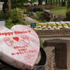 花 ハーブ庭園夢日記 甲州市 山梨県 DSC03097