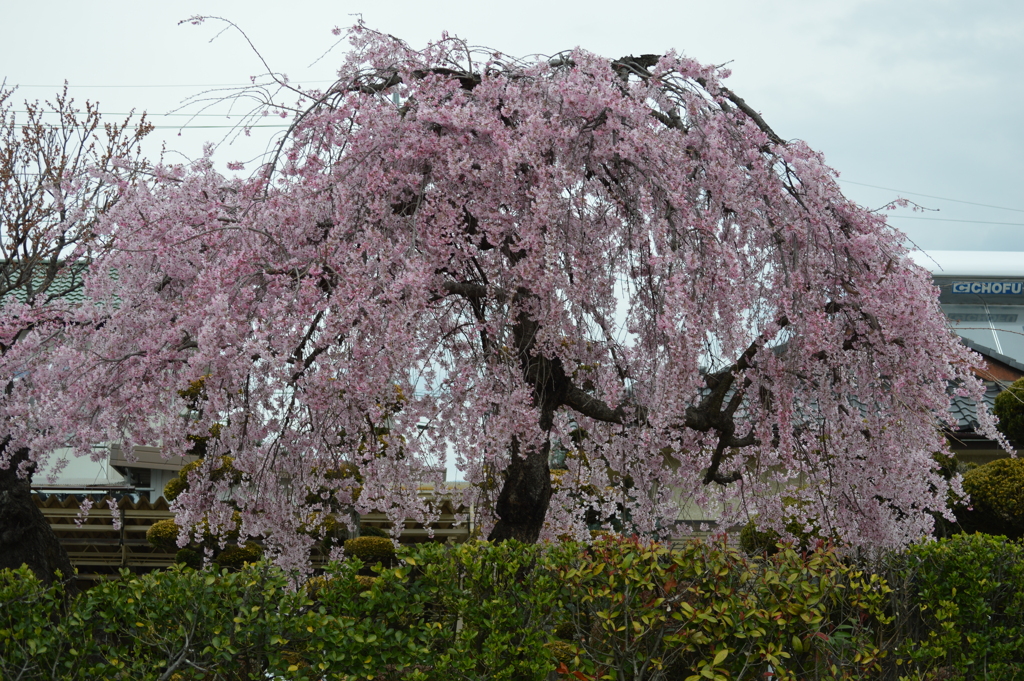 松里 甲州市塩山 山梨県