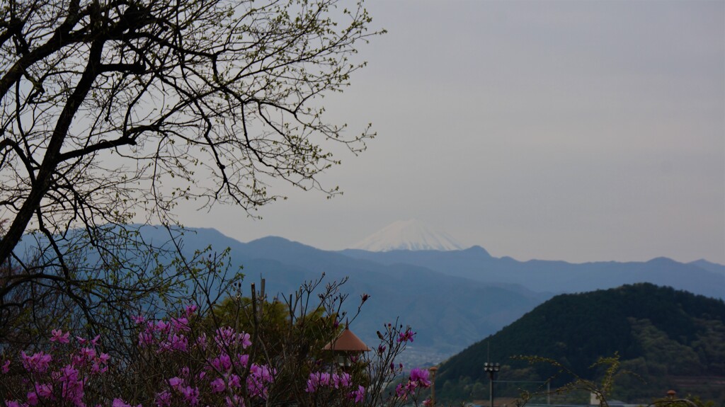 富士山 甲州市藤木 山梨県 DSC00377