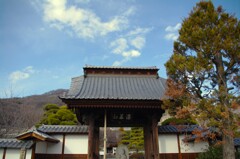 臨済宗 東光寺 甲府市 山梨県 IMGP8322