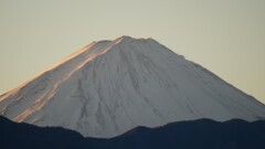 富士山 笛吹川フルーツ公園 山梨市 山梨県 DSC04675