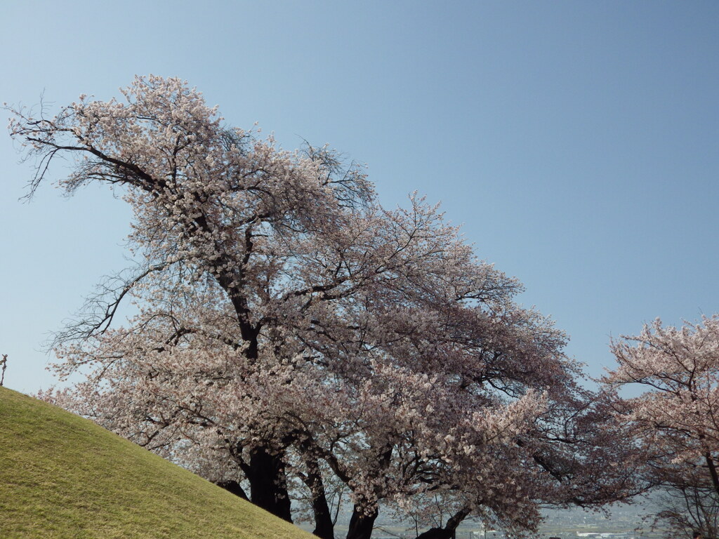 山梨県　笛吹市八代ふるさと公園