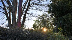 山梨市民総合体育館 山梨市上石森 山梨県 DSC07460 山梨市民総合体育館 山梨市上石森 山梨県 DSC07460