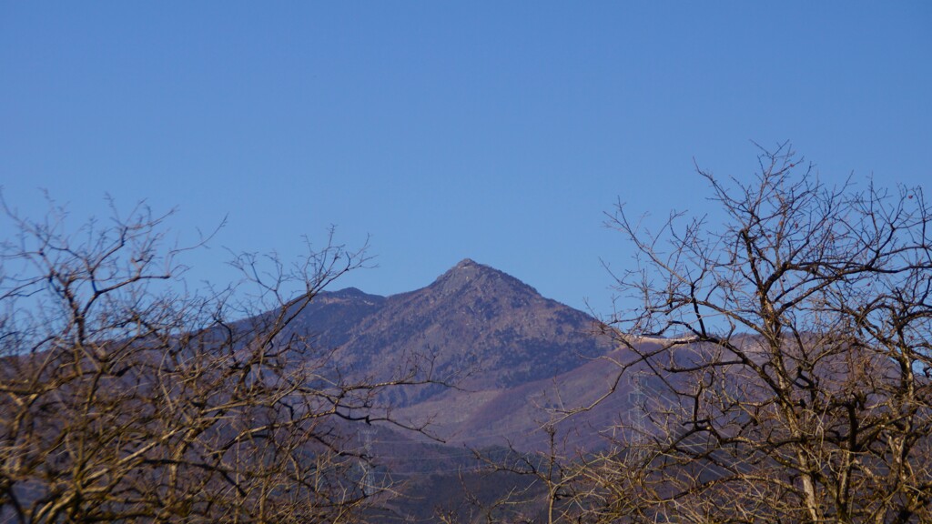 乾徳山 藤木 甲州市 山梨県 DSC04396