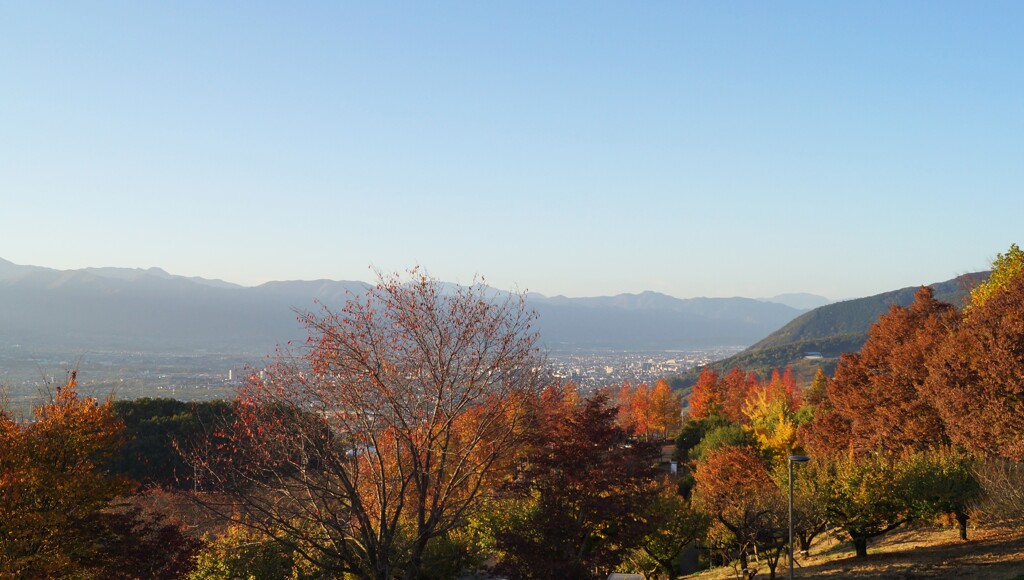 紅葉 笛吹川フルーツ公園 山梨市 DSC02655