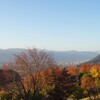 紅葉 笛吹川フルーツ公園 山梨市 DSC02655