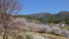 道の駅花かげの郷まきおか 牧丘町 秩父多摩甲斐国立公園 山梨市 山梨県