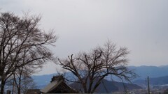 法正寺 甲州市 塩山中萩原 山梨県 DSC00399