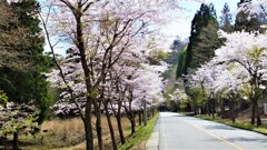 道志村 山梨県