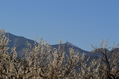 日本の風景 国道52号 富士川 山梨県