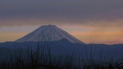 富士山 塩山藤木 甲州市 山梨県 DSC01477