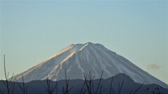 富士山 フルーツライン 藤木 甲州市 山梨県 DSCF2887