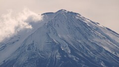 富士山 河口湖 大石公園 山梨県 DSC06301