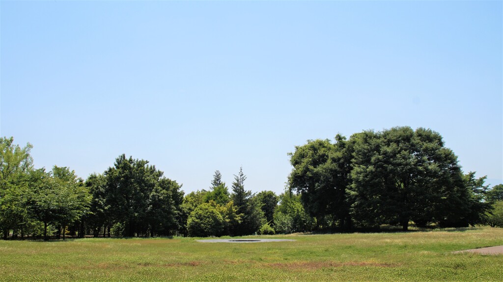 山梨県立博物館 笛吹市御坂町成田 山梨県 DSC03393