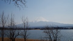 日本の風景 富士山 河口湖 山梨県 DSC01487