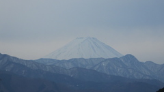 塩山ふれあいの森総合公園 甲州市 山梨県