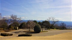 富士山 花 フルーツ公園 山梨市 山梨県 DSC06119