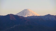 富士山 フルーツ公園 山梨市 山梨県 DSC07372