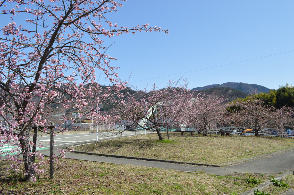 城ケ坂橋 奥野田 JAフルーツ 山梨 農協 甲州市