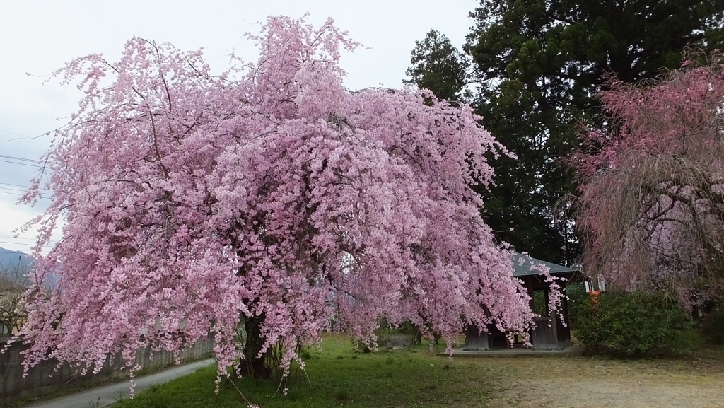 白髭神社 松里 甲州市塩山 山梨県