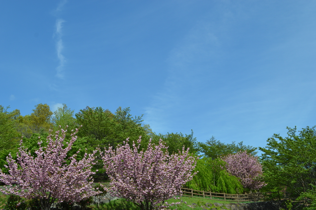塩山ふれあいの森総合公園 甲州市 山梨県