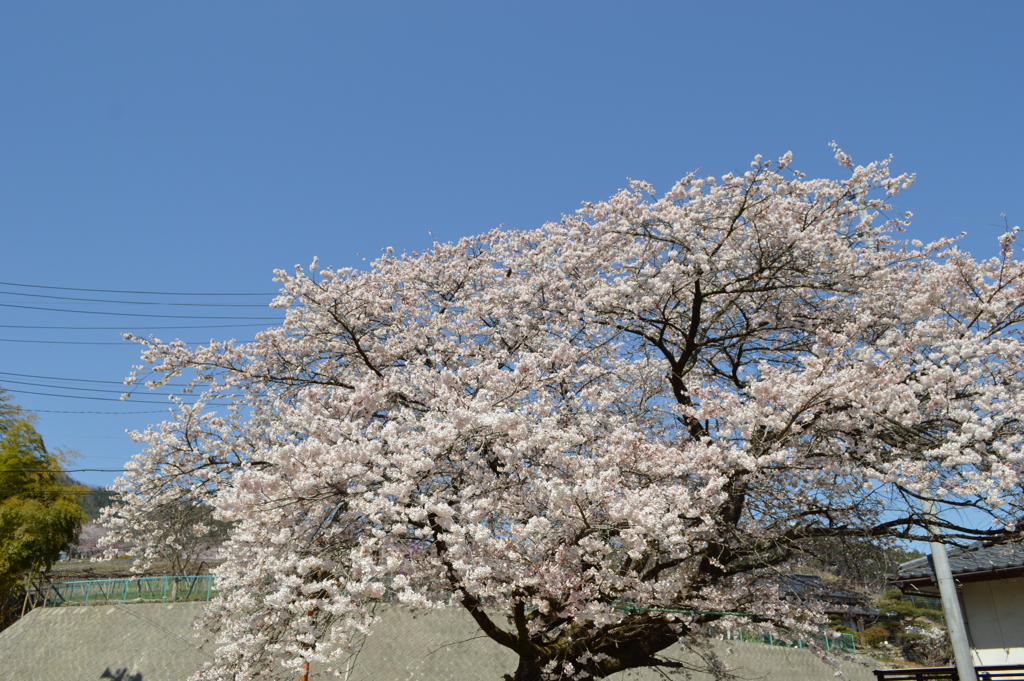 牧丘町 秩父多摩甲斐国立公園 山梨市 山梨県